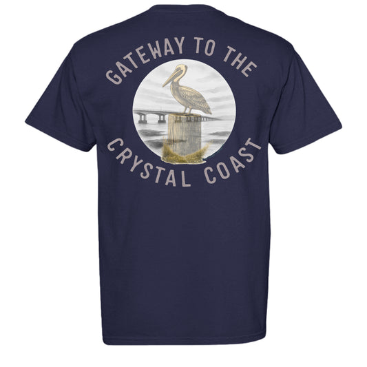 TRUE NAVY - C1717 - BACK