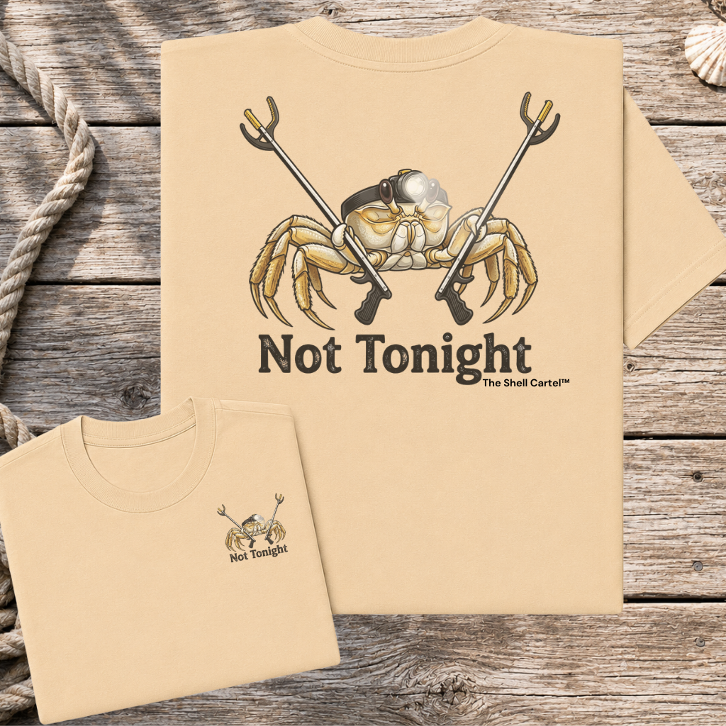 Not Tonight