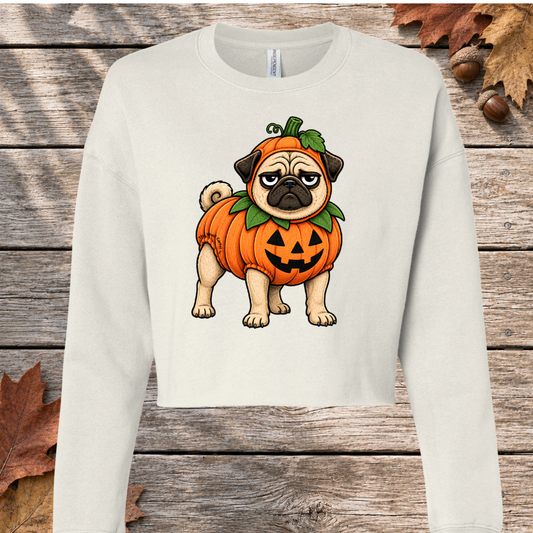 Frank-O’-Lantern Lightweight Cropped Crew Pullover