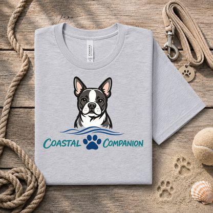 Boston - Companion