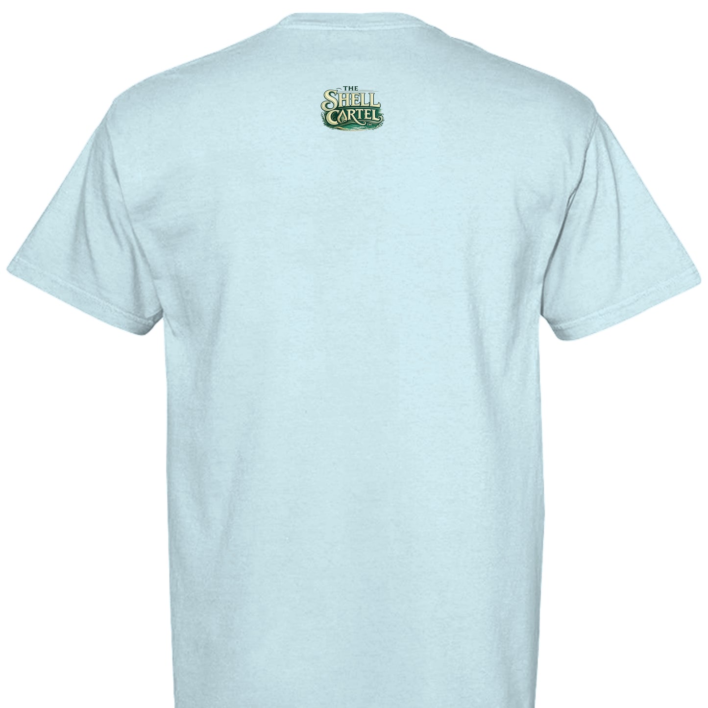 CHAMBRAY - C1717 - BACK