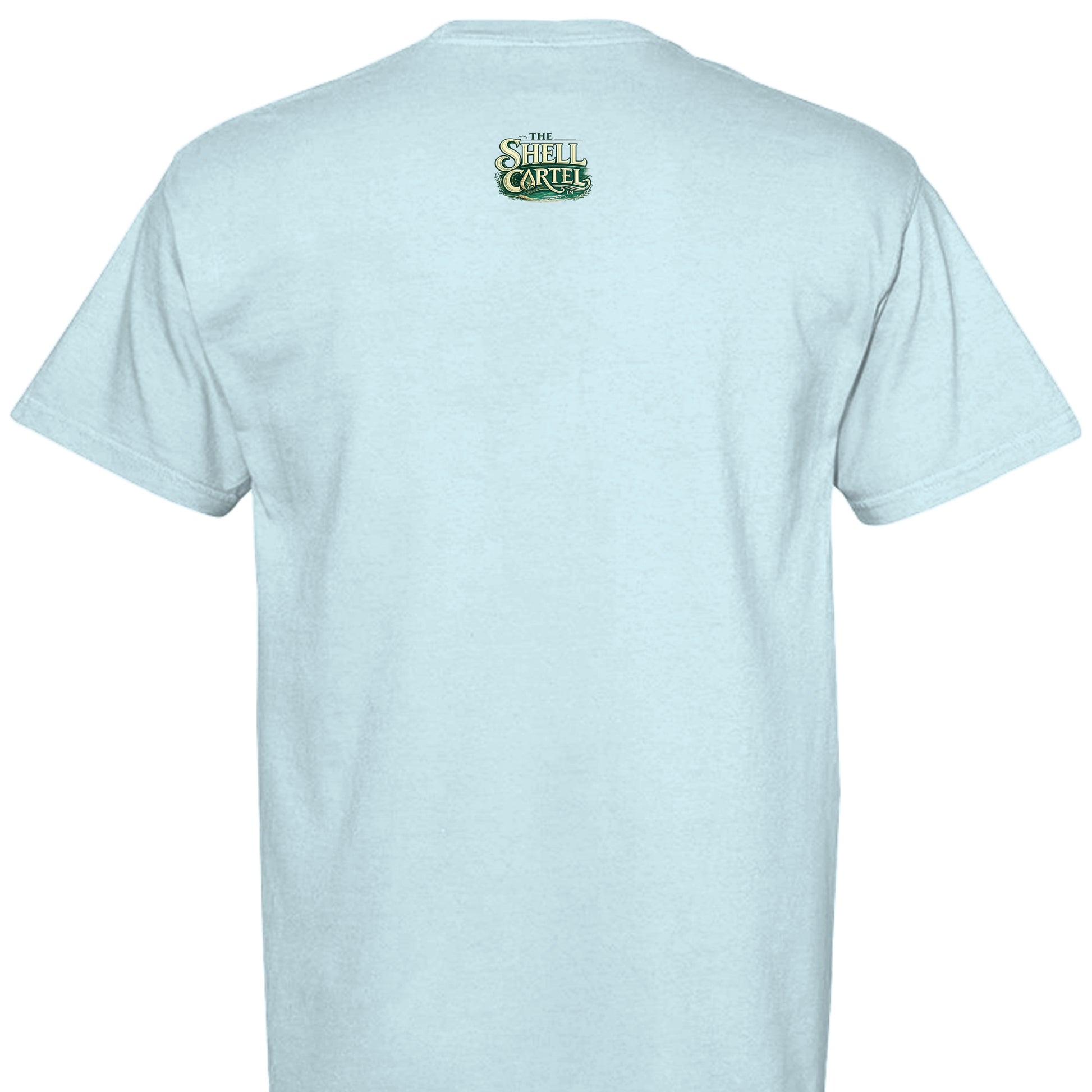 CHAMBRAY - C1717 - BACK