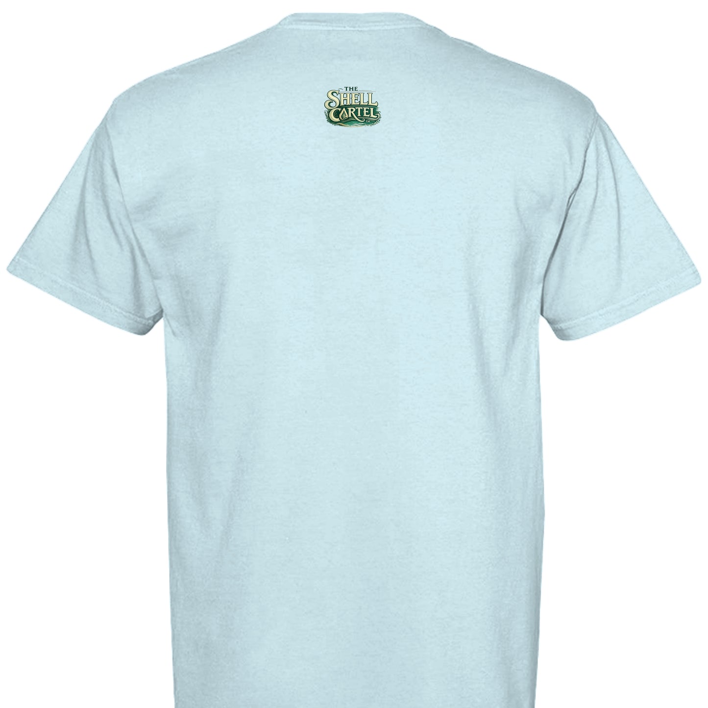CHAMBRAY - C1717 - BACK