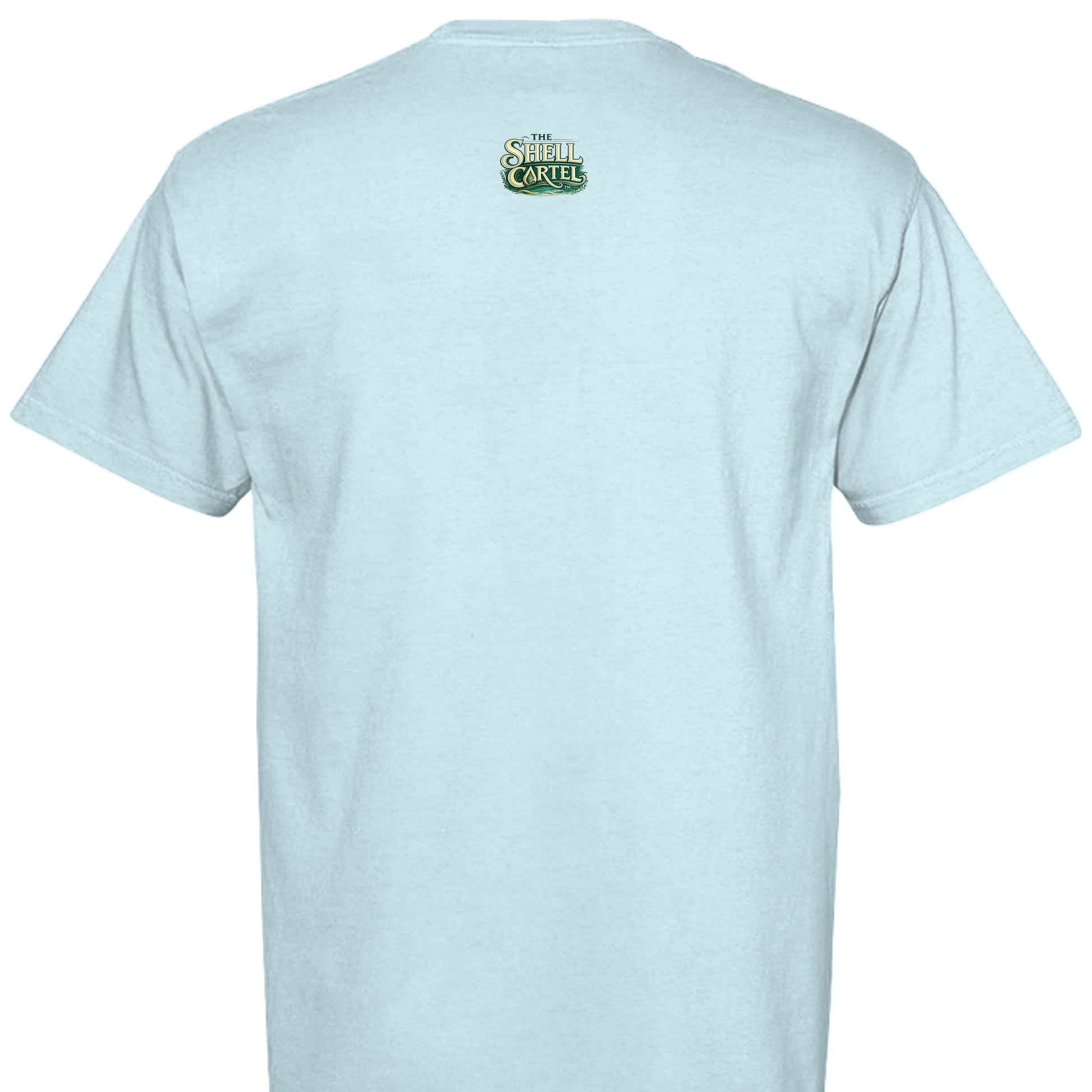 CHAMBRAY - C1717 - BACK