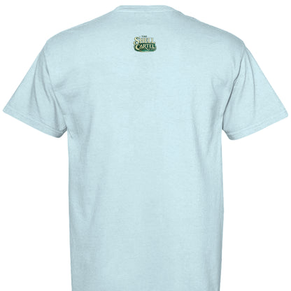 CHAMBRAY - C1717 - BACK