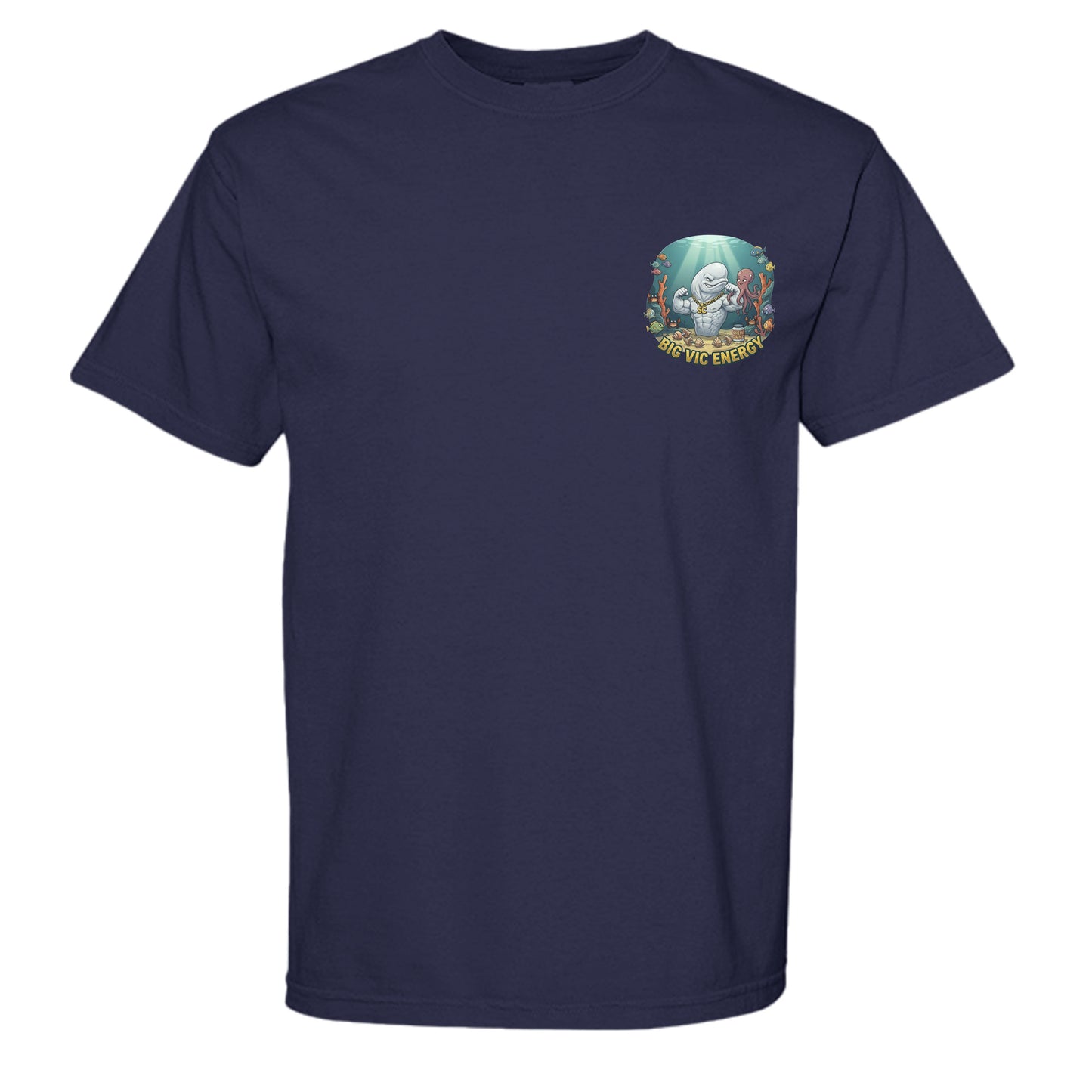 TRUE NAVY - C1717 - FRONT