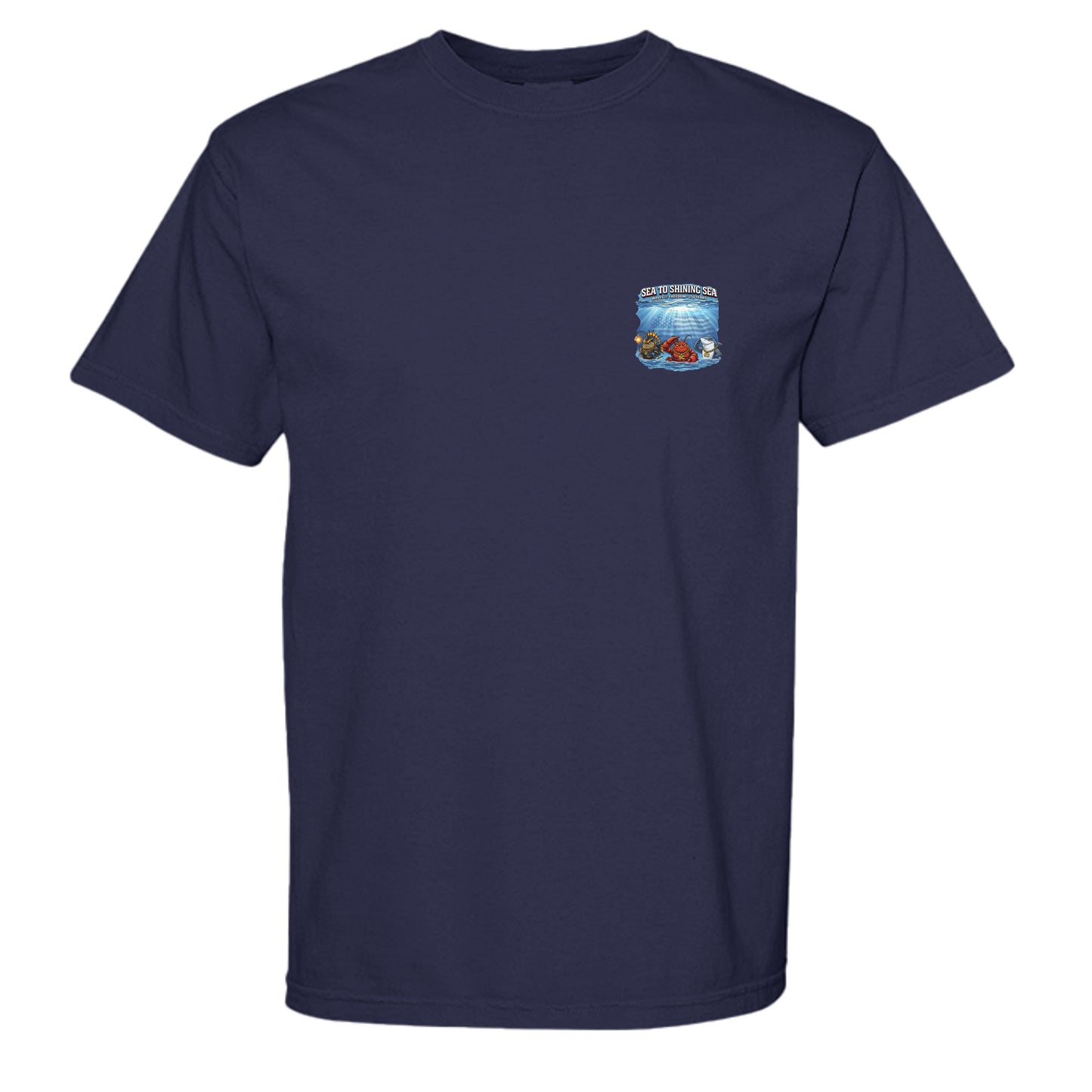 TRUE NAVY - C1717 - FRONT