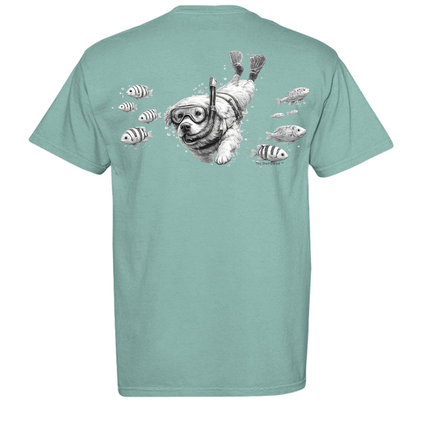 SEAFOAM - C1717 - BACK