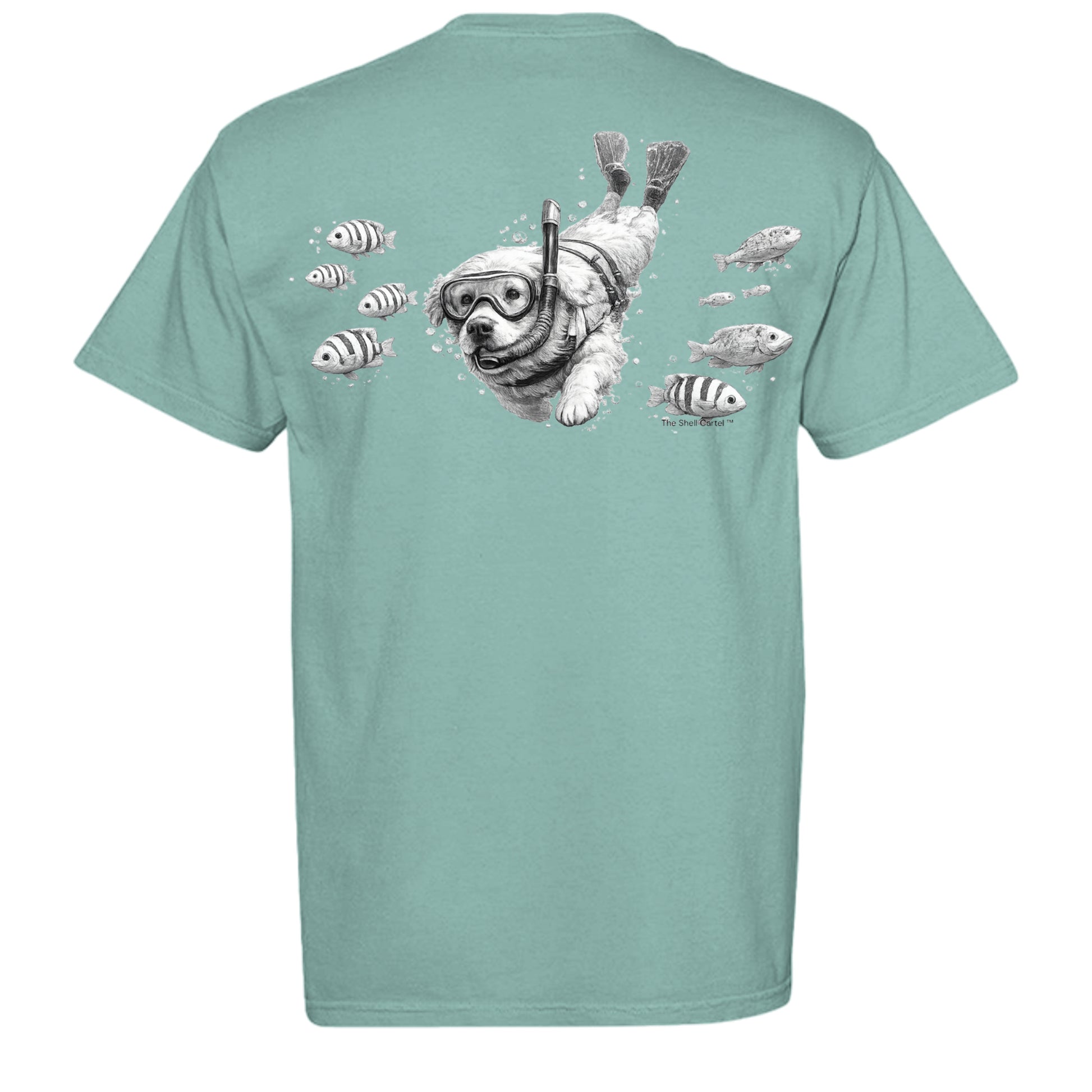 SEAFOAM - C1717 - BACK