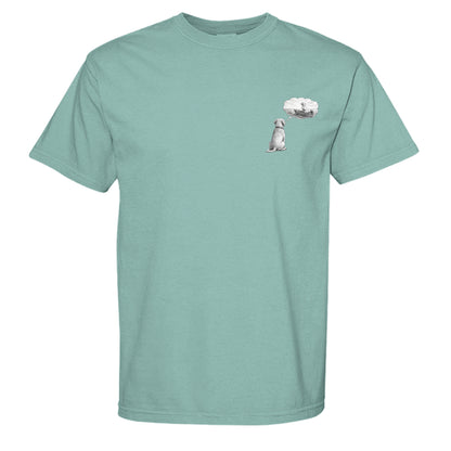 SEAFOAM - C1717 - FRONT