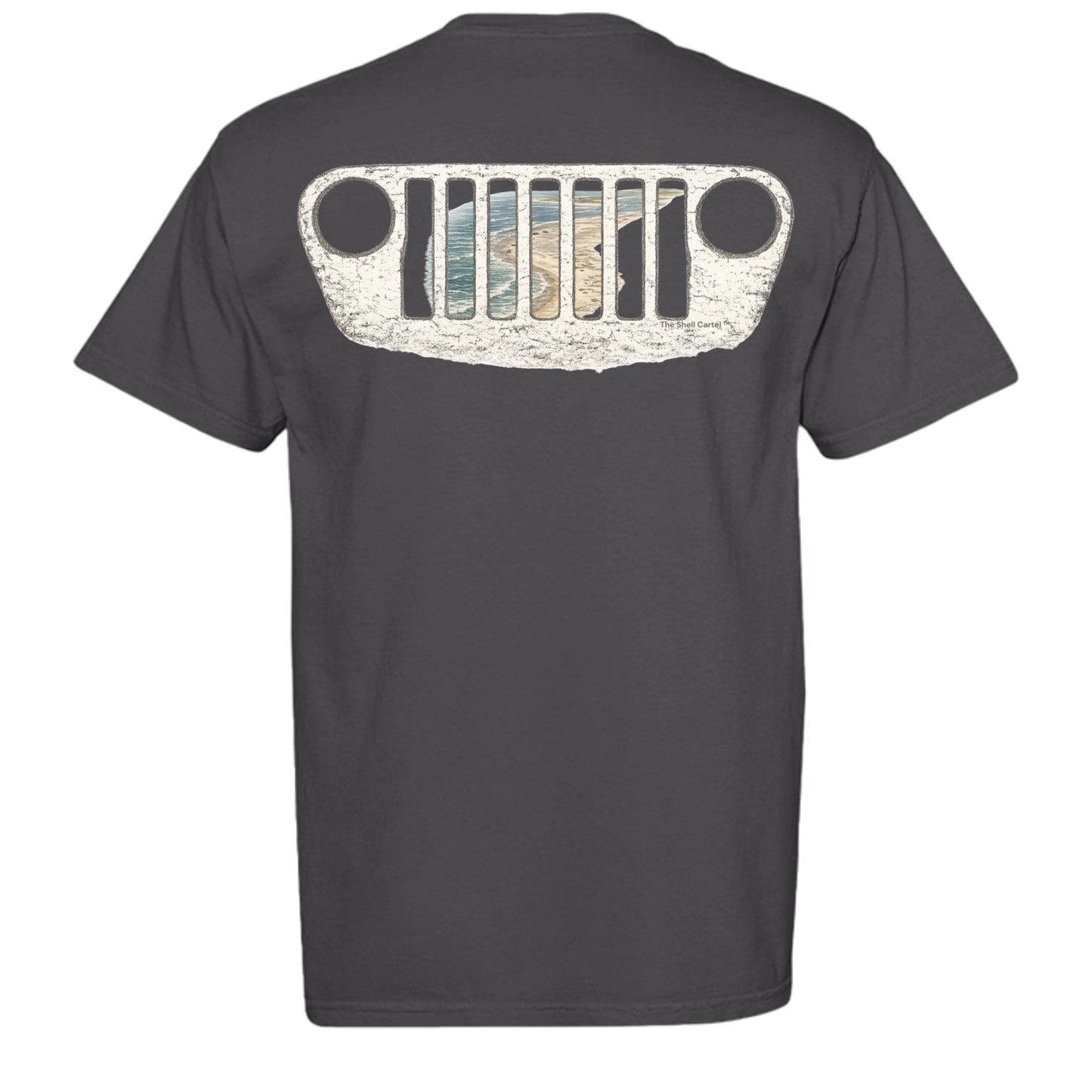GRAPHITE - C1717 - BACK