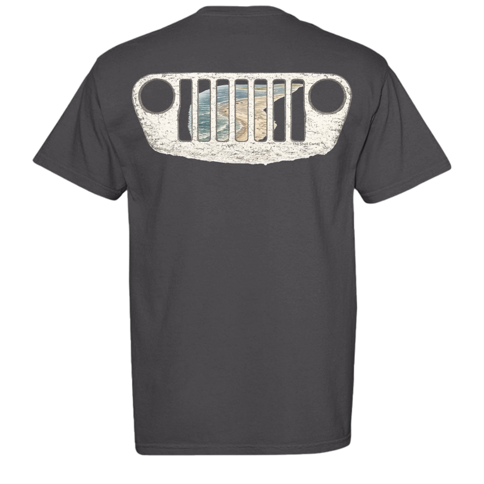 GRAPHITE - C1717 - BACK