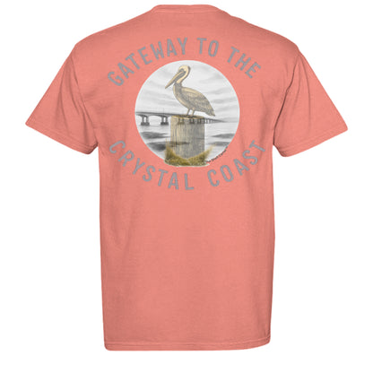 BRIGHT SALMON - C1717 - BACK