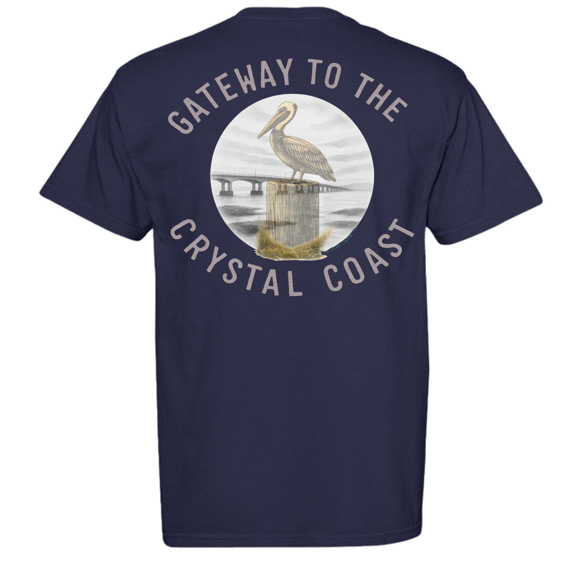 TRUE NAVY - C1717 - BACK